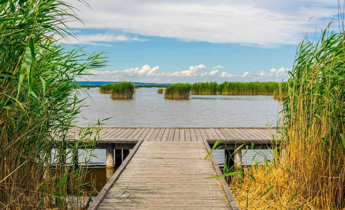 Wanderungen rund um den Neusiedler See