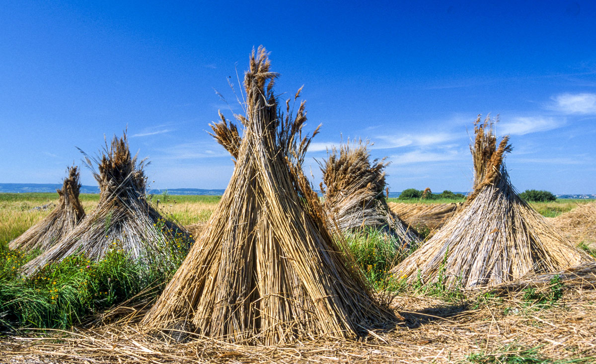 Entdecken Sie die vielfältigen Wanderwege im Burgenland