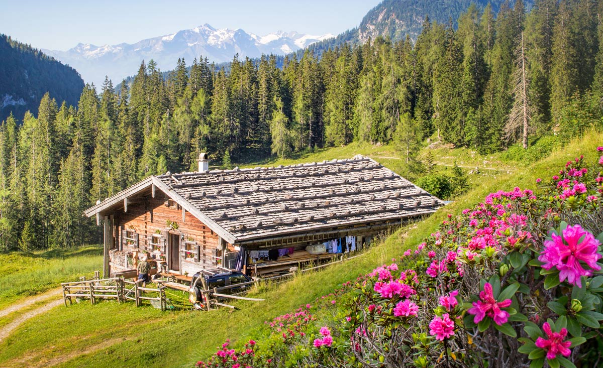 Wanderurlaub auf den Almen in Vorarlberg