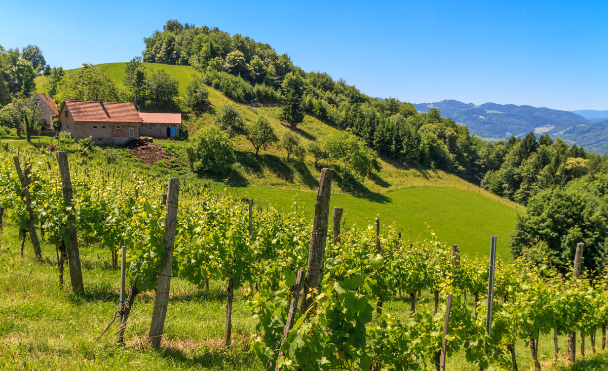 Wandern im Burgenland