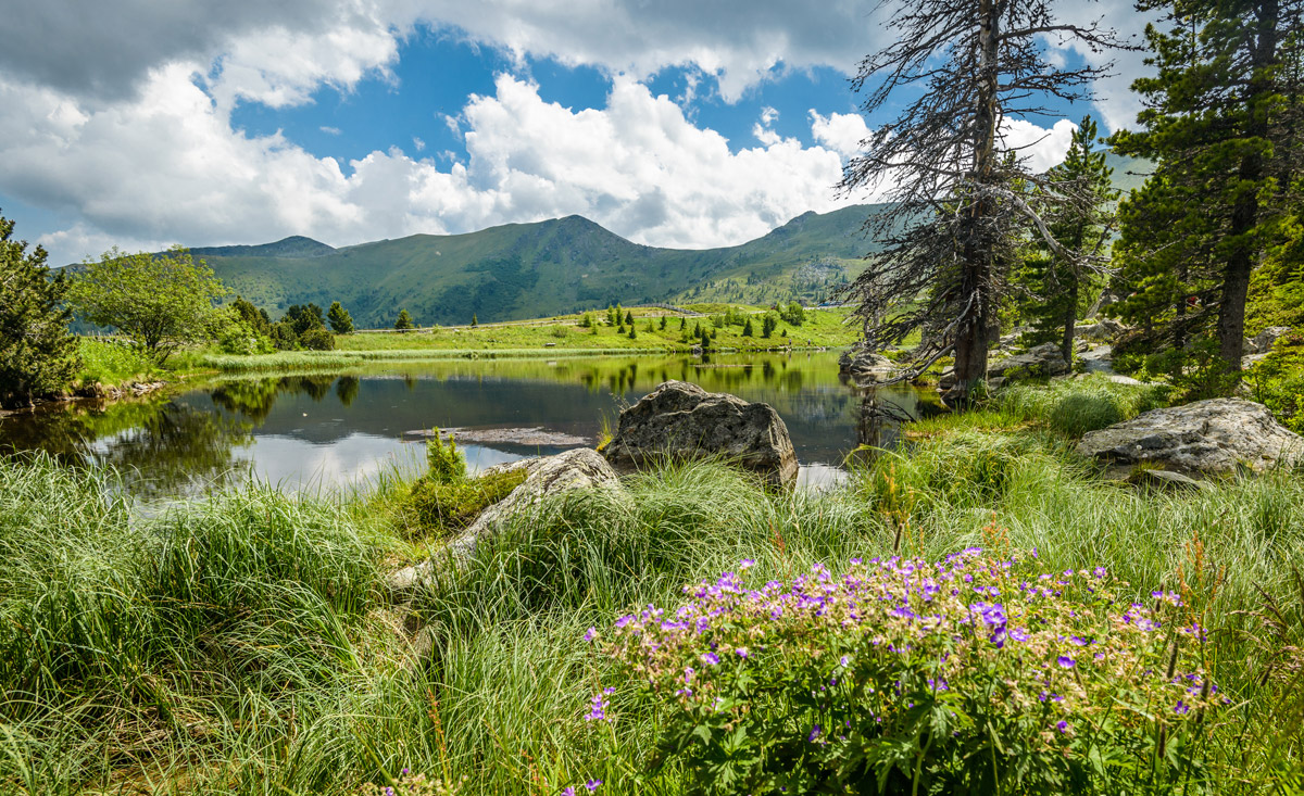 Wandern im Nationalpark Nockberge in Kärnten.